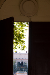 Cliquez sur la vignette pour l'agrandir